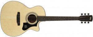 Tyma TG-1TE трансакустическая гитара в комплекте 40" с вырезом, массив ели, Elixir, ЧЕХОЛ от музыкального магазина МОРОЗ МЬЮЗИК