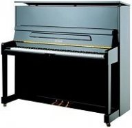 Petrof P 125M1(0801) Акустическое пианино, 88 клавиш, с глубиной снижения 10 мм, размеры 1250 мм1456 мм 587 мм, вес - 236 кг, цвет черный. от музыкального магазина МОРОЗ МЬЮЗИК