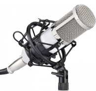 FZONE BM-800 WH микрофон профессиональный студийный с большой мембраной, цвет белый, сверхпрочная конструкция в литом корпусе от музыкального магазина МОРОЗ МЬЮЗИК