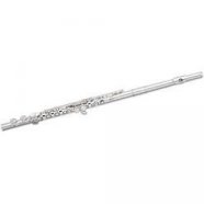 Pearl Flute PF-500 флейта ученическая, не в линию, закрытые клапаны,французского стиля До колено от музыкального магазина МОРОЗ МЬЮЗИК