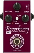 AMT Electronics FX Pedal Guitar Digital Reverb "Reverberry" Педаль гитарная от музыкального магазина МОРОЗ МЬЮЗИК