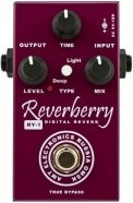 AMT Electronics FX Pedal Guitar Digital Reverb "Reverberry" Педаль гитарная от музыкального магазина МОРОЗ МЬЮЗИК