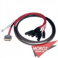 Картинка AVID DB25-XLRM DigiSnake 4' кабель от музыкального магазина МОРОЗ МЬЮЗИК AVID DB25-XLRM DigiSnake 4' кабель от музыкального магазина МОРОЗ МЬЮЗИК