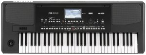 KORG PA300 Интерактивная рабочая станция, количество клавиш 61, количество тембров от музыкального магазина МОРОЗ МЬЮЗИК