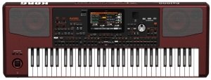 KORG PA1000 профессиональная аранжировочная станция, 61 клавиша, 1700 звуков (до 512 пользовательских), 107 набора ударных (+256 пользовательских) от музыкального магазина МОРОЗ МЬЮЗИК