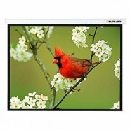 Lumien Master Picture LMP-100112 Проекционный экран с ручным управлением, Matte White FiberGlass, 146", 4:3, 221x297 см, 16 кг. от музыкального магазина МОРОЗ МЬЮЗИК